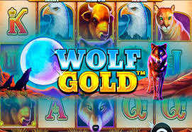신나는 경험을 제공하는 Wolf Gold Casino Game 신나는 경험을 제공하는 Wolf Gold Casino Game